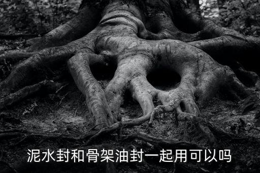 泥水封和骨架油封一起用可以嗎