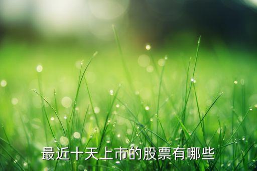 最近十天上市的股票有哪些