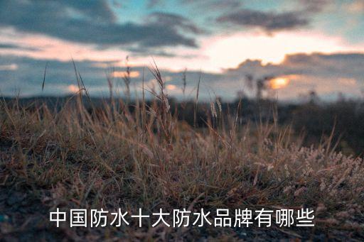 中國防水十大防水品牌有哪些