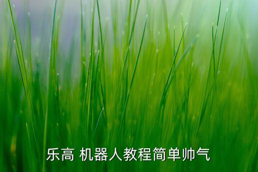 拼接機(jī)器人