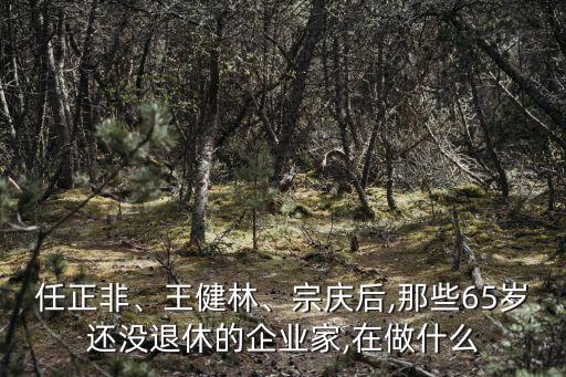 大數(shù)據(jù) 創(chuàng)業(yè)家,大數(shù)據(jù)已經(jīng)出現(xiàn)在擁有更多信息的社會中