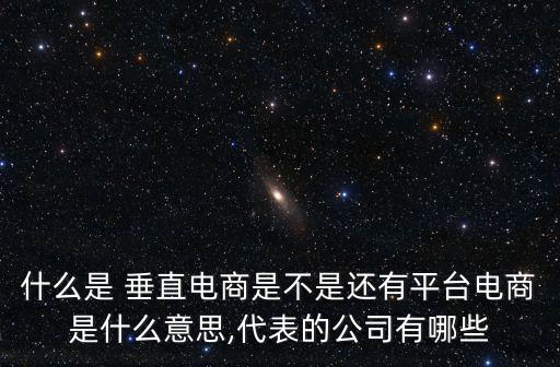 垂直類電商