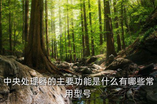 中央處理器的主要功能是什么有哪些常用型號