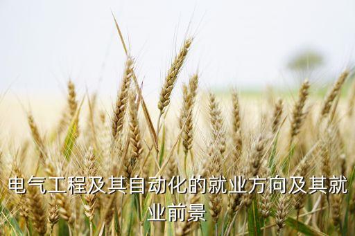 電氣自動(dòng)化可以年入百萬嗎,電氣自動(dòng)化前景不錯(cuò)工資怎么樣?