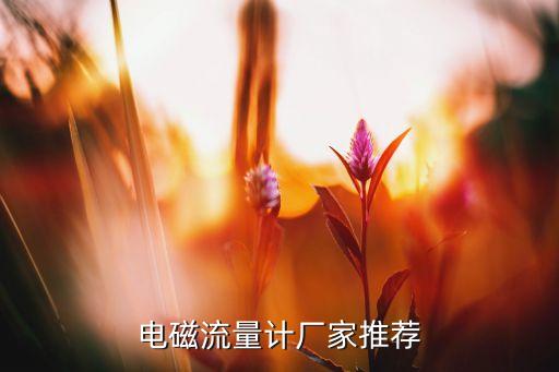 上海鶴吉自動(dòng)化儀表公司,中國(guó)自動(dòng)化儀表銷售額前10名出爐