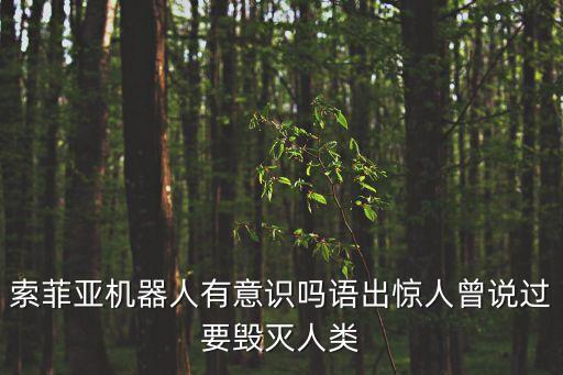 索菲亞機(jī)器人有意識(shí)嗎語出驚人曾說過要?dú)缛祟? class=