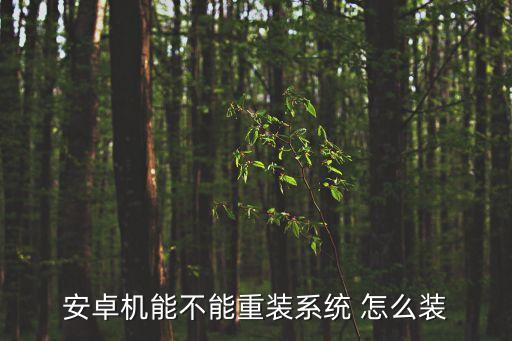 安卓系統(tǒng)安裝，安卓手機怎樣裝系統(tǒng)