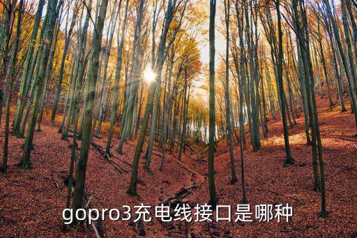 gopro3充電線接口是哪種