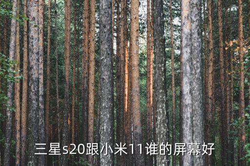 小米11屏幕，三星s20跟小米11誰(shuí)的屏幕好