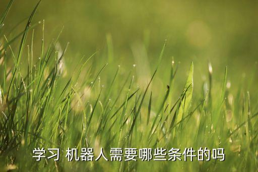 學(xué)習(xí) 機(jī)器人需要哪些條件的嗎