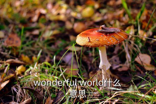 精彩世界，填空什么的世界