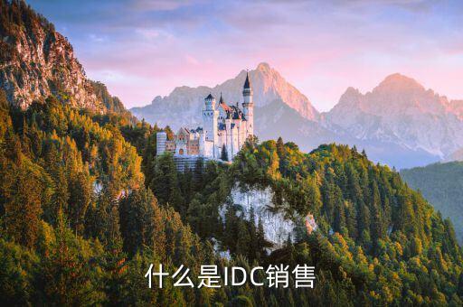 什么是IDC銷售