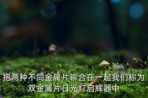 雙金屬片，雙金屬片是怎么一回事