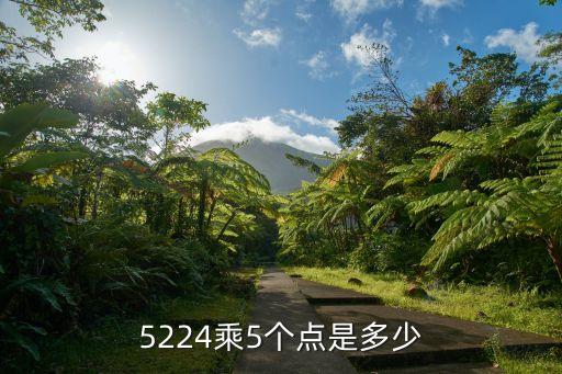 5224乘5個(gè)點(diǎn)是多少