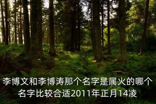 李博濤，李博濤做名字好嗎博濤字中帶寸