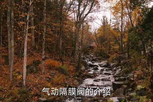 氣動隔膜閥的介紹