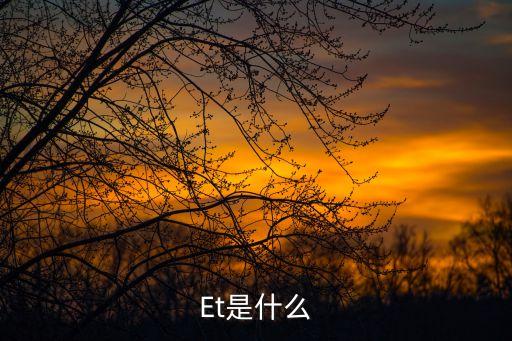 Et是什么