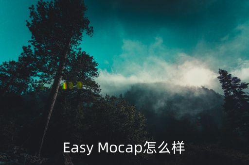 Easy Mocap怎么樣