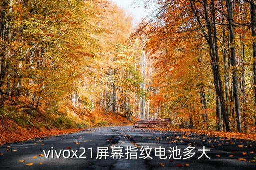 vivox21屏幕指紋電池多大