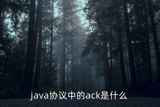java協(xié)議中的ack是什么