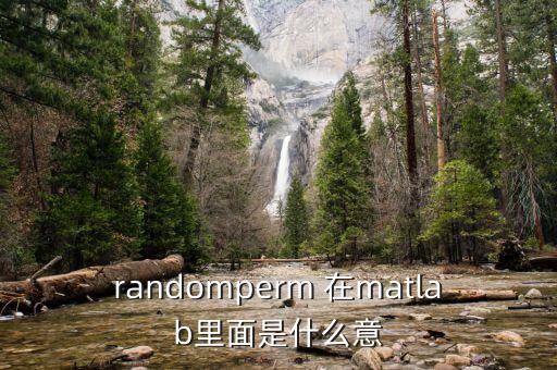 randomperm 在matlab里面是什么意