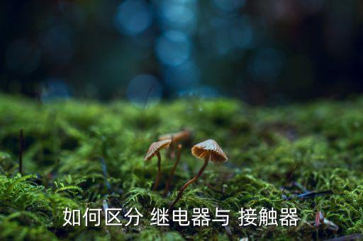 如何區(qū)分 繼電器與 接觸器