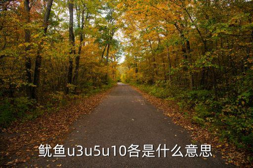 魷魚u3u5u10各是什么意思