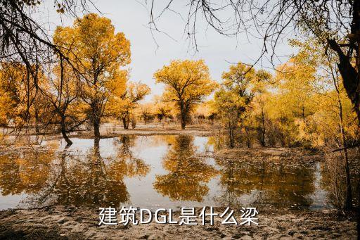 建筑DGL是什么梁