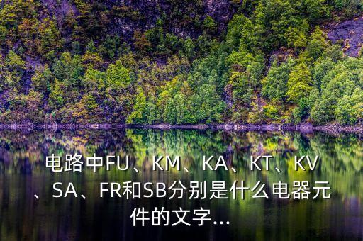 電路中FU、KM、KA、KT、KV、SA、FR和SB分別是什么電器元件的文字...