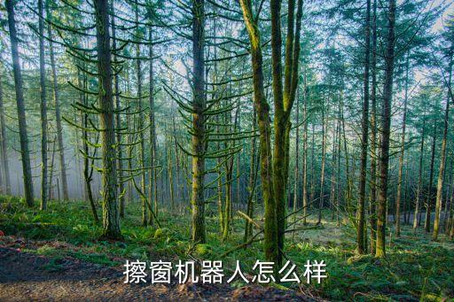 戶外玻璃清洗機(jī)器人,擦玻璃機(jī)器人有哪些優(yōu)點(diǎn)?