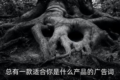 總有一款適合你是什么產(chǎn)品的廣告詞