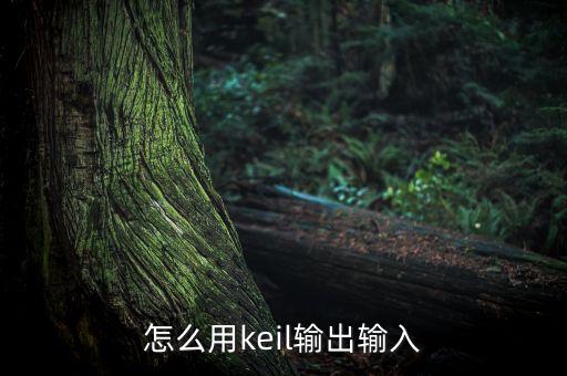 keil使用教程，怎么用keil輸出輸入