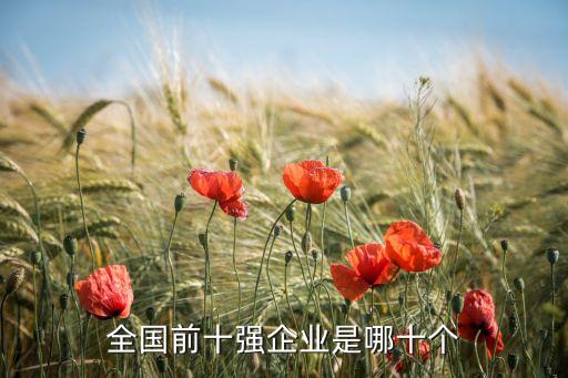 中國十大企業(yè)，中國的十大杰出企業(yè)是誰