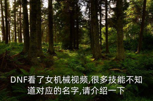 2017機器人輔助出什么名字,巫主輔助機器人怎么出裝?