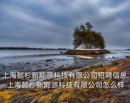 上海懿杉新能源科技有限公司招聘信息,上海懿杉新能源科技有限公司怎么樣...