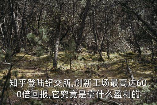 知乎登陸紐交所,創(chuàng)新工場最高達600倍回報,它究竟是靠什么盈利的