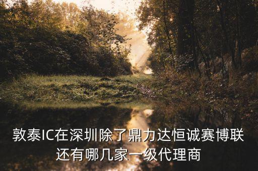 敦泰IC在深圳除了鼎力達恒誠賽博聯(lián)還有哪幾家一級代理商