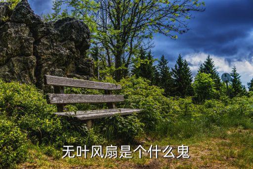 無葉電風扇，無葉風扇是個什么鬼