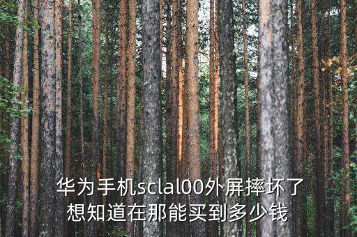  華為手機sclal00外屏摔壞了想知道在那能買到多少錢
