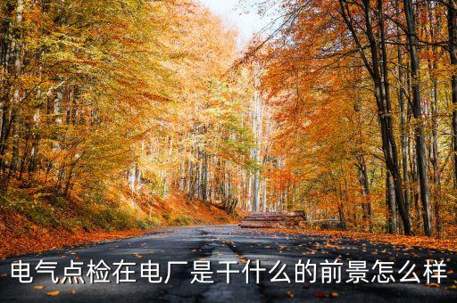 電氣點(diǎn)檢在電廠是干什么的前景怎么樣