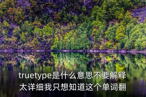 truetype是什么意思不要解釋太詳細(xì)我只想知道這個(gè)單詞翻