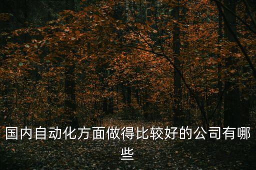 國內(nèi)自動化方面做得比較好的公司有哪些