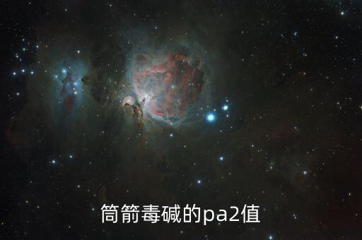 pA2,什么是直線pa1?