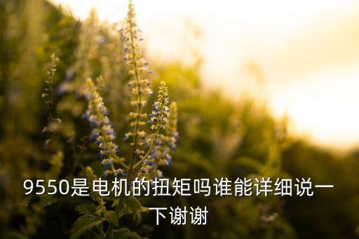 9550是電機(jī)的扭矩嗎誰能詳細(xì)說一下謝謝