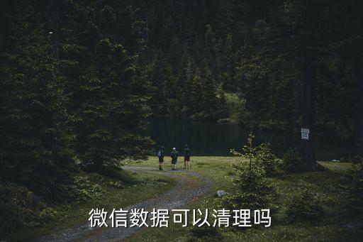 怎么刪除手機(jī)微信數(shù)據(jù)庫(kù)文件,怎么刪除?微信游戲數(shù)據(jù)?