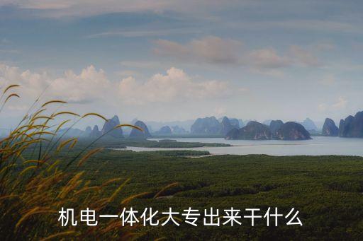 機電一體化大專出來干什么