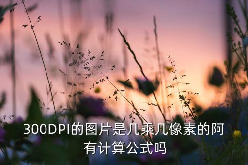 300ppi，Photoshop中提到的圖像分辨率可設(shè)置為300ppippi是什么意思