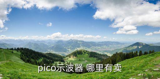 pico示波器 哪里有賣