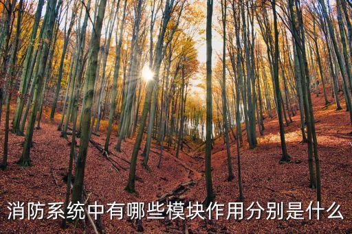 消防模塊，消防系統(tǒng)中有哪些模塊作用分別是什么