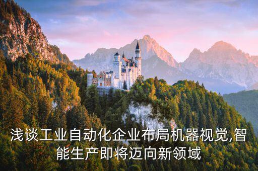 淺談工業(yè)自動化企業(yè)布局機器視覺,智能生產(chǎn)即將邁向新領域